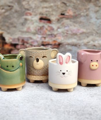 Cute Ceramic Flower/Succulent Pot