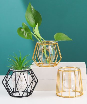 Iron Cage Design Plant Holders