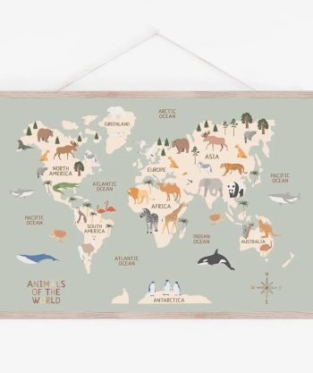Educational Wall Posters