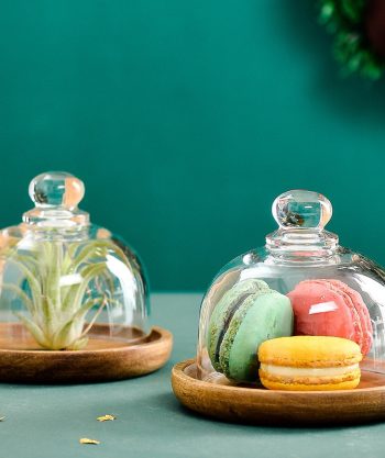 Mini Dessert/Cake Serving Tray with Glass Dome