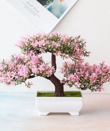 Potted Bonsai