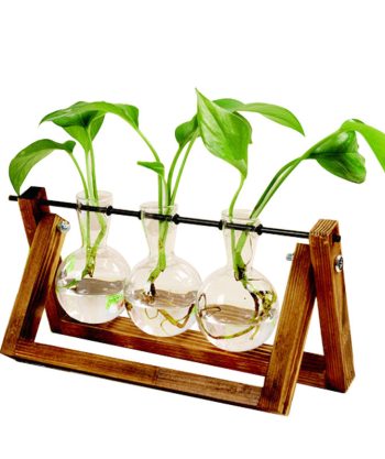 Terrarium Vase in Wooden Frame