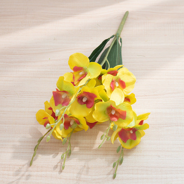 product-image-2002486723.jpg