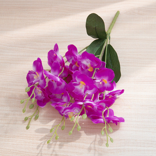 product-image-2002486725.jpg