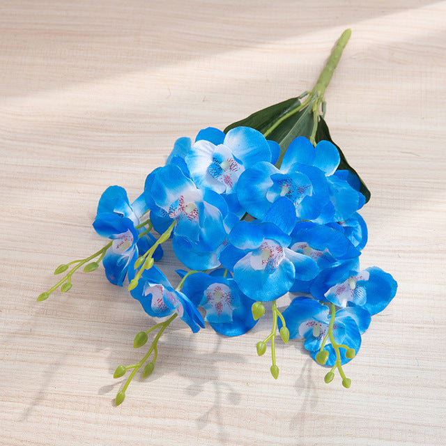 product-image-2002486726.jpg